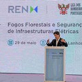 FOGOS FLORESTAIS E SEGURANÇA DE INFRAESTRUTURAS ELÉTRICAS 1.jpg